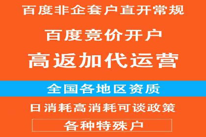 百度竞价代运营成功案例解析